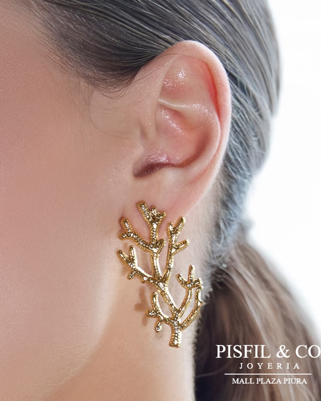 WhatsApp Image 2026-01-26 at 3.36.01 PM (3)